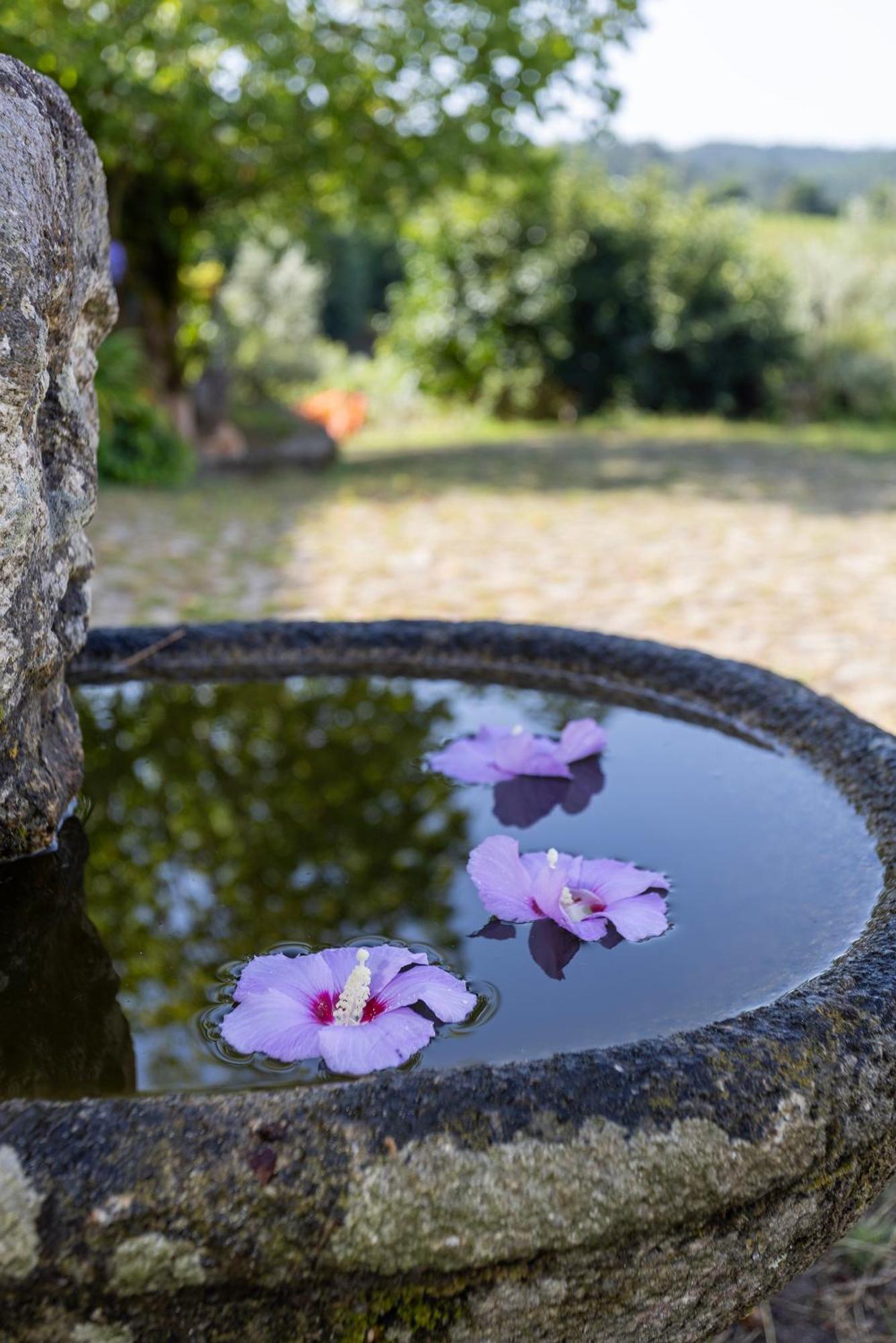 Quinta Da Comenda เซาเปโดรโดซูล ภายนอก รูปภาพ