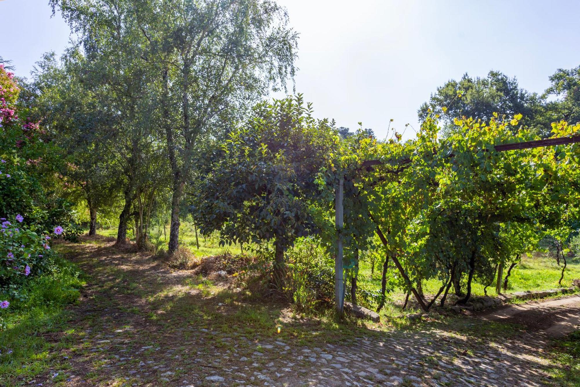 Quinta Da Comenda เซาเปโดรโดซูล ภายนอก รูปภาพ