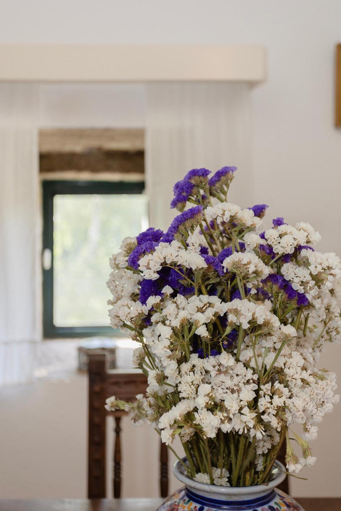Quinta Da Comenda เซาเปโดรโดซูล ภายนอก รูปภาพ